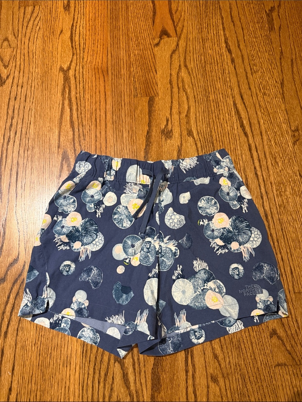 The North Face Blue Print Shorts